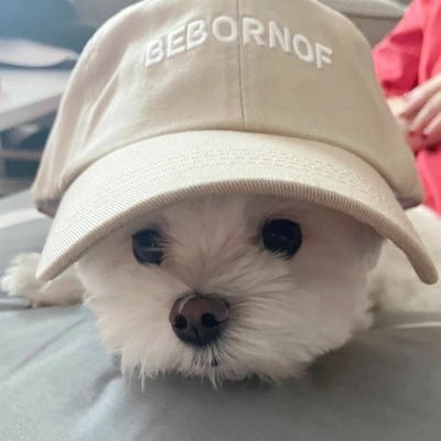 jsjensnksl's profile picture. 