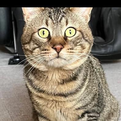 l5vokpF5qL97238's profile picture. 日常生活で感じたに事を投稿してます！良かったら、宜しくお願いします！