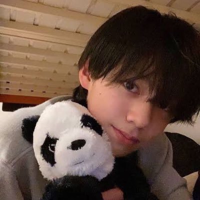 🐨難波碧空🐨(ハル) (@lil_Nanchan) / Posts / X