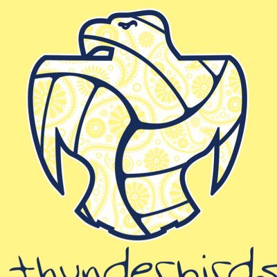 Circle T-Bird Volleyball Profile