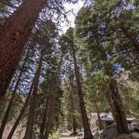 Anand Mahajani (@mahajani) 's Twitter Profile