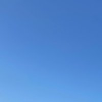 夢の国 (@vdx7eqqfp1ceixc) Twitter profile photo