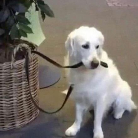 llllllool3's profile picture. ↪