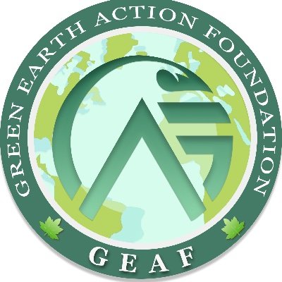 geaforg Profile Picture