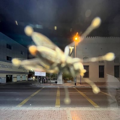 aqeelismail's profile picture. Optimizing for happiness