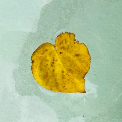 TitbitsBigdata's profile picture. Big data and RPA enthusiast