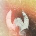 Reverend Kristin Michael Hayter (@lingua_ignota_) Twitter profile photo Reverend Kristin Michael Hayter (@lingua_ignota_) Twitter profile photo
