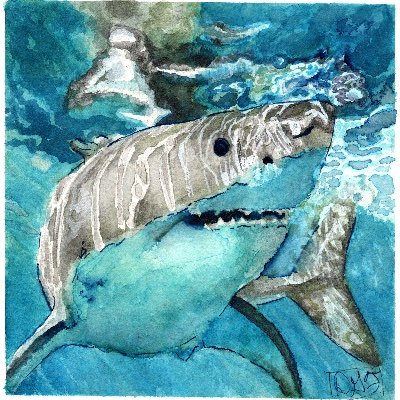 ✨️🦉Portrait artist who drinks way too much tea🦉✨️ Cozy & Retro Games | Hobbyist | Twitch Unity Guilds