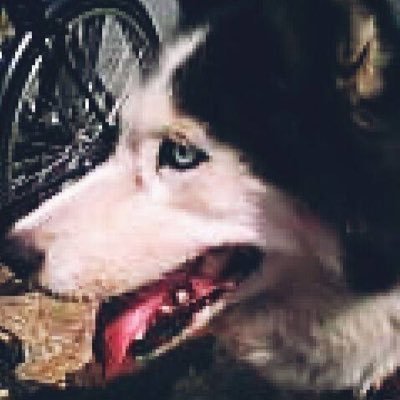 kaoru1107cc's profile picture. 