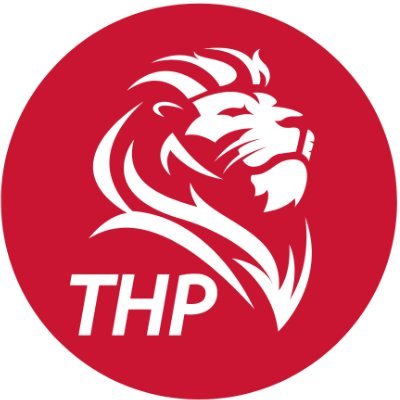 Premier League Transfer News, Player and Team Analysis