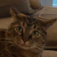 Nicky (@nickynatsuki) 's Twitter Profile Photo Nicky (@nickynatsuki) 's Twitter Profile Photo