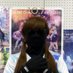 仮面ラブライバーBlack LL (@blacklovelive) Twitter profile photo 仮面ラブライバーBlack LL (@blacklovelive) Twitter profile photo