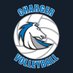 Clear Springs VBall (@CSHSVolleyball) Twitter profile photo