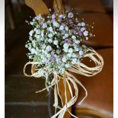 SoniaAvalo45681's profile picture. 