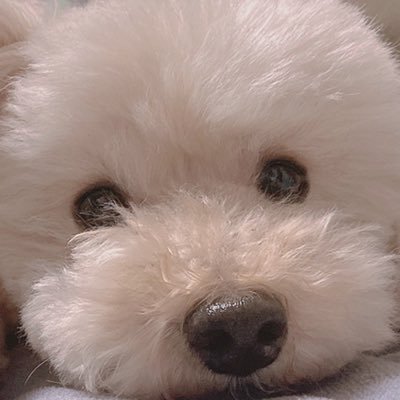 θさんのプロフィール画像