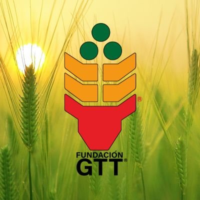 Apoyamos a los agricultores GTT para que sus empresas agrícolas sean más rentables, competitivas y sustentables por medio de la transferencia tecnológica.