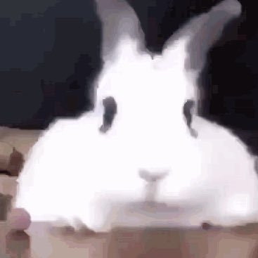 Kingbot189's profile picture. Snazziest Guy, big FGC casual, Sol enjoyer, frequent DP in neutral user, and 43rd biggest Paracelsus fan