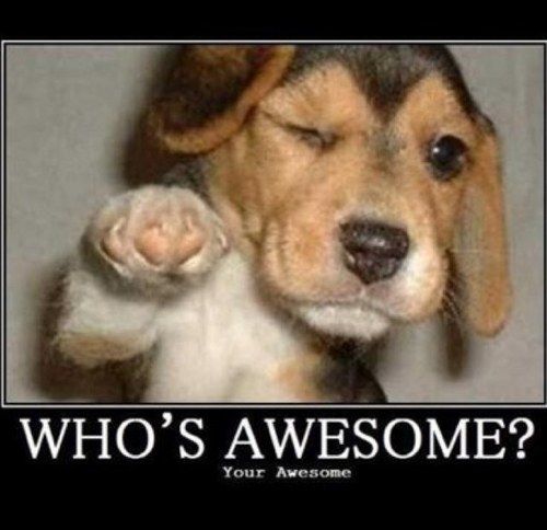 Jmango19's profile picture. Just ask me