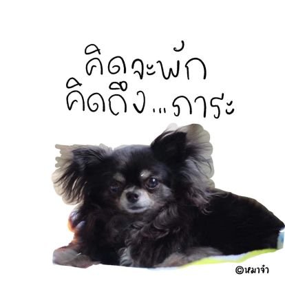 arayamoon's profile picture. 