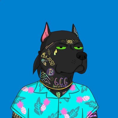 ZinurX's profile picture. Play. Build. Own. 

Bitcoin Ordinals | 🌎 |  #BTC #ETH #DOT