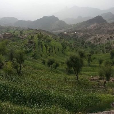 alnb_wd76463's profile picture. خدمات