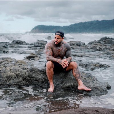 West374740's profile picture. I like a turtle