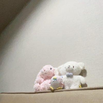 tuhap5's profile picture. 🦊🌸閲覧用/成人済。