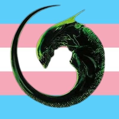 Trans, She/Her/They/Them,
General Sci-Fi and Fantasy fan. Star Wars, Alien, Halo, Star Trek and more. 
Banner art: Grzegorz Domaradz.
#TransRightsAreHumanRights