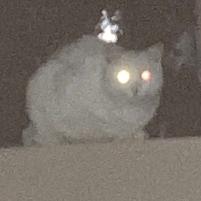 I_Love_mushi's profile picture. ブロスタCR大好き