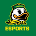 University of Oregon Esports (@UOEsports) Twitter profile photo