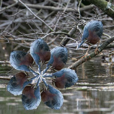 Zulimba's profile picture. my joy and my pain are one