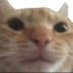 onx (@onxosu) Twitter profile photo onx (@onxosu) Twitter profile photo