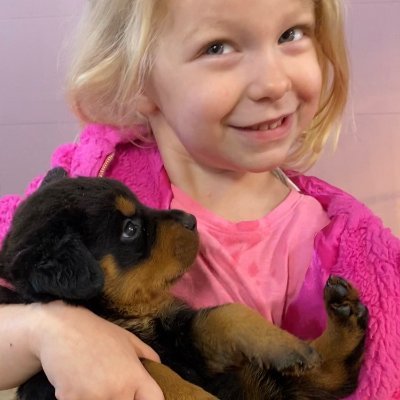 Dog breeder of German Rottweilers in the Ozarks of Arkansas