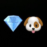 Diamond Dogs KCOU 88.1 💎🐶(@DiamondDogsKCOU) 's Twitter Profile Photo