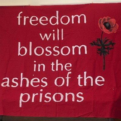 Michigan Abolition and Prisoner Solidarity (MAPS) fights for prison + police abolition / new+backup account for @MI_Abolition