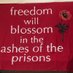 Michigan Abolition and Prisoner Solidarity (@Mich_Abolition) Twitter profile photo