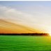 The Power of Prayer (@powerinprayer) Twitter profile photo The Power of Prayer (@powerinprayer) Twitter profile photo