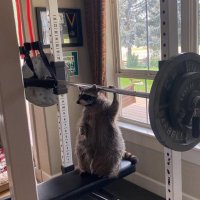 Машинист поезда (@euc_eron_dondon) 's Twitter Profile