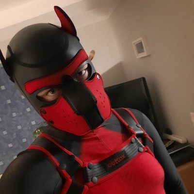 Aven_AD's profile picture. Rubber puppy, there to cause chaos | 27 | Pup | Furry | Latex | Hypno | Drone | Open DMs | Doing doggo stuff with @Zorronator_AD :3