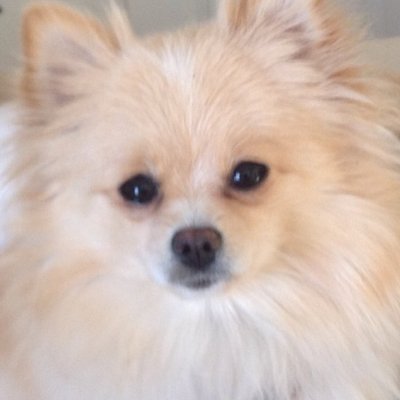 NI2023UF's profile picture. 