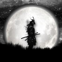 فحل مولع للمشتهيات (@hotdick1994) Twitter profile photo