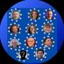 EU Hostages Family Alliance (@EU_Hostages) Twitter profile photo