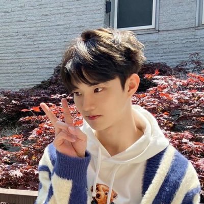 kyurousel's profile picture. collecting pieces of #큐 #수빈 #사쿠라