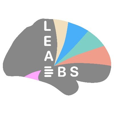 Open source toolbox to model deep brain stimulation electrodes in the human brain. Part of Lead Neuroimaging Suite (https://t.co/6g2kerCPGX) Tweets by @andreashorn_.