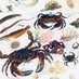 Global Mollusc (@globalmollusc) Twitter profile photo Global Mollusc (@globalmollusc) Twitter profile photo