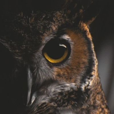 GabrielSedem1's profile picture. Fortunately for me my fortunes bought me values. Start a label run it and sign yourself, thaats a major key!!!!