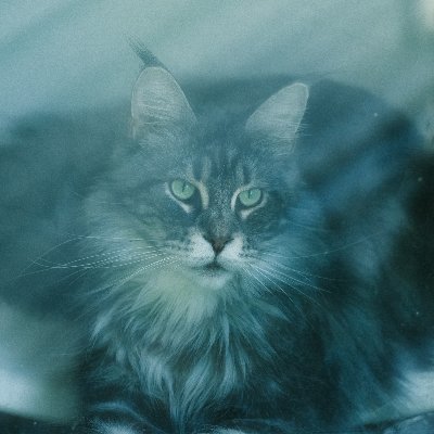 sadie_shescrazy's profile picture. I'm a Wanderer, Professional Video Gaymer, and Aspiring Astronaut. Its a trap to confirm whomst you are online. Pronounced 새디