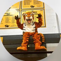 BV Tiger Pride (@bvtigerpride) 's Twitter Profile