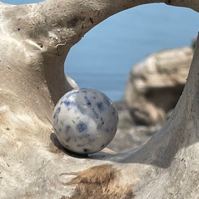 ThSoilBeneathMe's profile picture. 7x Bee Sting Olympian(beats Portnoy by 5 stings) still holding the title! Licensed in the Medical field, Pro Jeep, Pro Life, Pro gun, Pro Hunter, Pro Etc.!