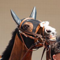 タカズミ (@kinmtkzi) 's Twitter Profile Photo